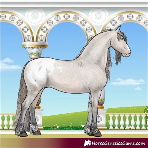Horse Color:Brown Dun Splash Snowcap 