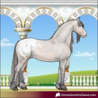 Horse Color:Brown Dun Splash Snowcap