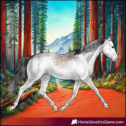 Horse Color:White Spotted Brown Roan Splash 