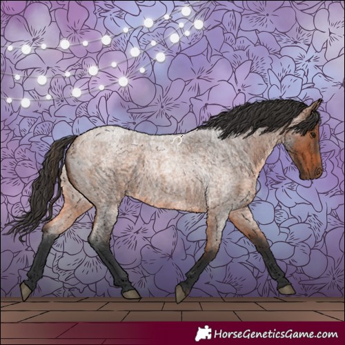 Horse Color:Bay Roan Rabicano 