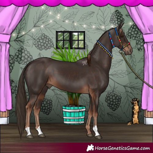 Horse Color:Liver Chestnut 