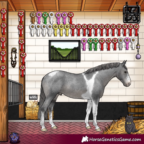 Horse Color:Black Sabino Tobiano Appaloosa Rabicano 