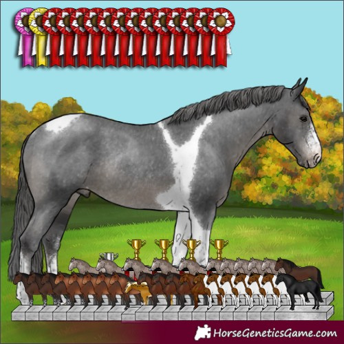 Horse Color:Black Sabino Tobiano Appaloosa Rabicano 