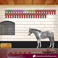 Horse Color:Black Sabino Tobiano Appaloosa Rabicano