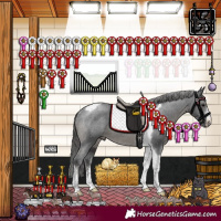 Horse Color:Black Sabino Tobiano Appaloosa Rabicano 