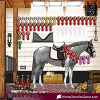 Horse Color:Black Sabino Tobiano Appaloosa Rabicano 