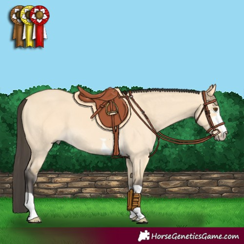 Horse Color:Buckskin Dun 