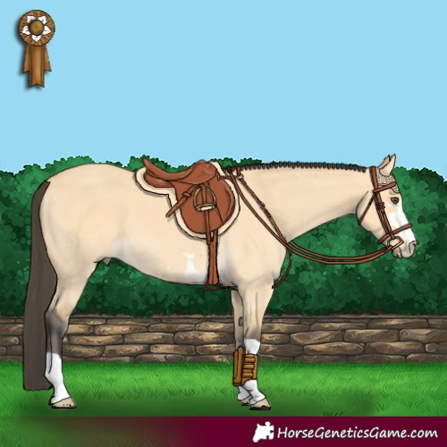 Horse Color:Buckskin Dun 
