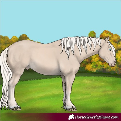 Horse Color:Cremello 