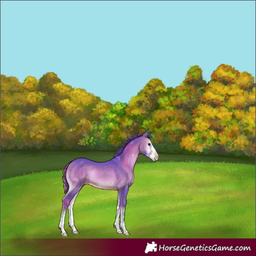 Horse Color:Watercolor Brown Onyx Sabino 