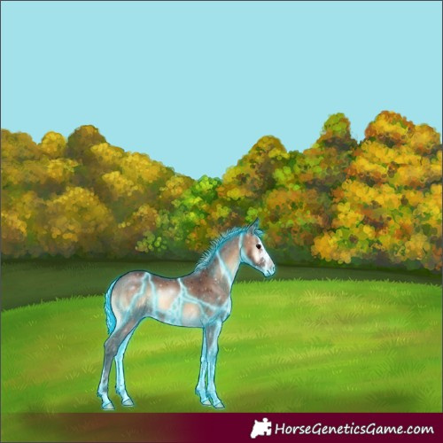 Horse Color:Thunderstruck Silver Brown Onyx 