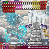 Horse Color:Thunderstruck Bay Onyx Sabino 