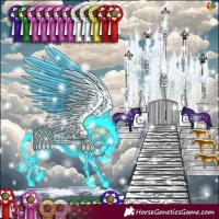 Horse Color:Thunderstruck Bay Onyx Sabino 