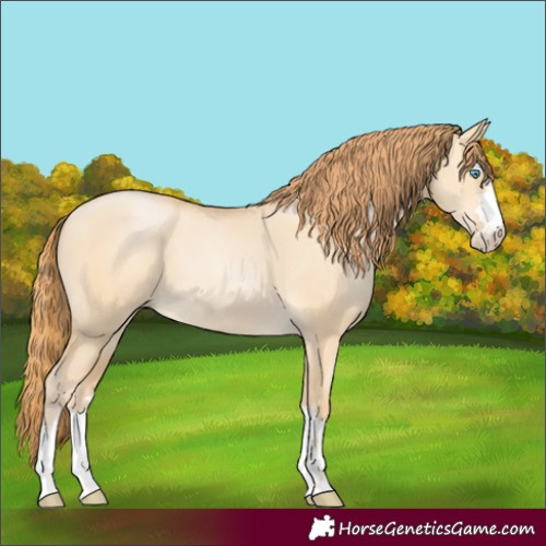 Horse Color:Buckskin Pearl Dun 