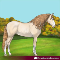 Horse Color:Buckskin Pearl Dun 