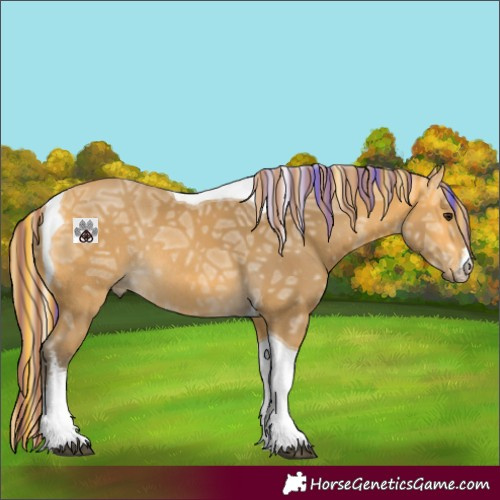 Horse Color:Painted White Spotted Silver Buckskin Ice Tobiano Rabicano 