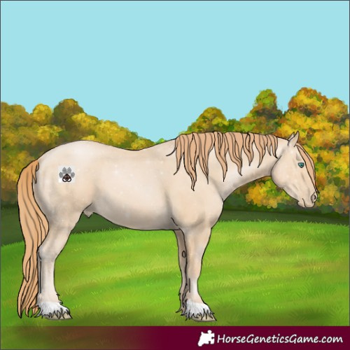 Horse Color:Smoky Black Pearl 