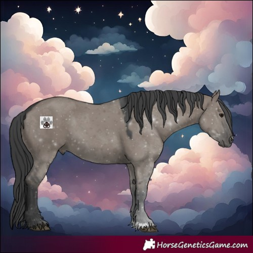 Horse Color:Grullo 