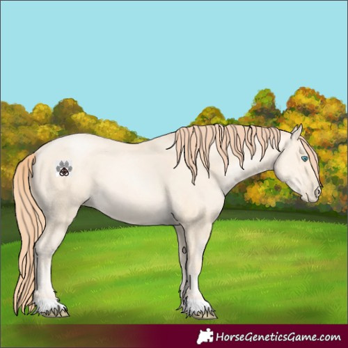 Horse Color:Classic Cream Champagne Pearl 