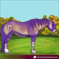 Horse Color:Watercolor Blue Onyx 
