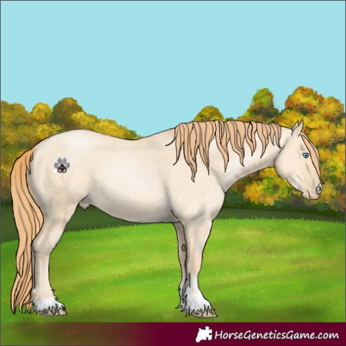 Horse Color:Buckskin Pearl Dun 