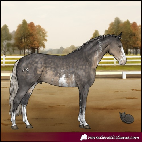 Horse Color:Silver Smoky Black Sabino 