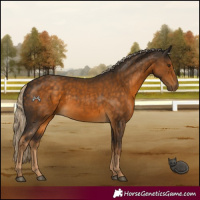 Horse Color:Chocolate Palomino 