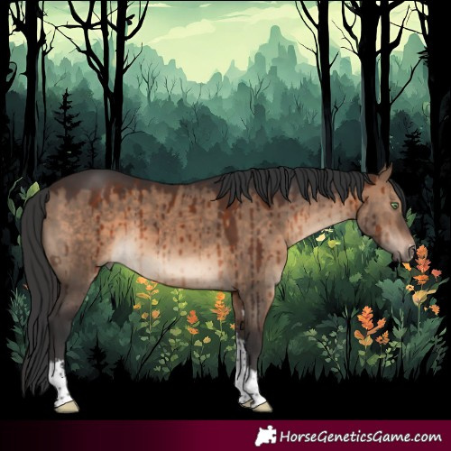 Horse Color:Brown Dun Sabino Brindle 