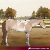 Horse Color:Brown Pearl Dun Tobiano Rabicano 