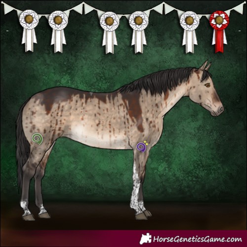 Horse Color:Bay Dun Tobiano Brindle 