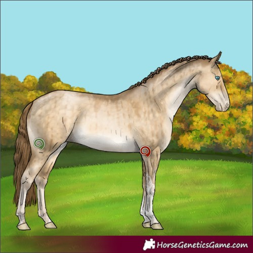 Horse Color:Buckskin Pearl Dun Tobiano Brindle 