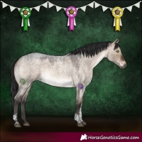 Horse Color:Brown Roan Dun Tobiano