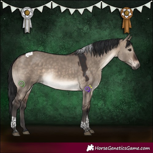Horse Color:Brown Dun Tobiano 