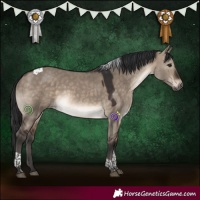 Horse Color:Brown Dun Tobiano 
