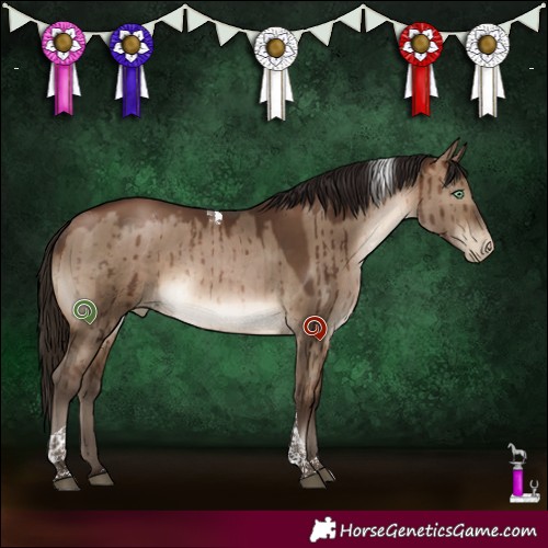 Horse Color:Gray Brown Pearl Dun Mushroom Tobiano Brindle 