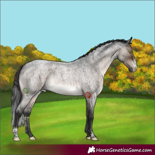 Horse Color:Brown Roan Dun Sabino 