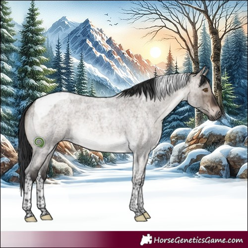 Horse Color:Brown Roan Dun Mushroom Tobiano Rabicano Brindle 