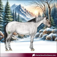 Horse Color:Brown Roan Dun Mushroom Tobiano Rabicano Brindle 