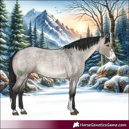 Horse Color:Brown Roan Dun Sabino