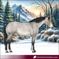 Horse Color:Brown Roan Dun Sabino