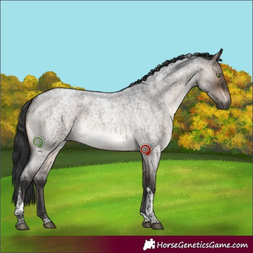 Horse Color:Brown Roan Dun Tobiano 