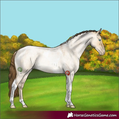 Horse Color:Buckskin Roan Pearl Dun Tobiano 