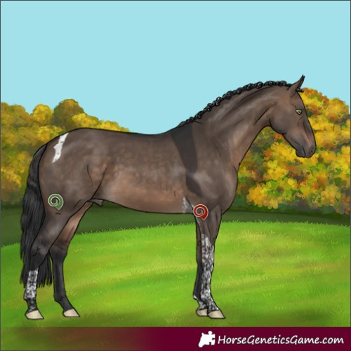 Horse Color:Brown Dun Tobiano 