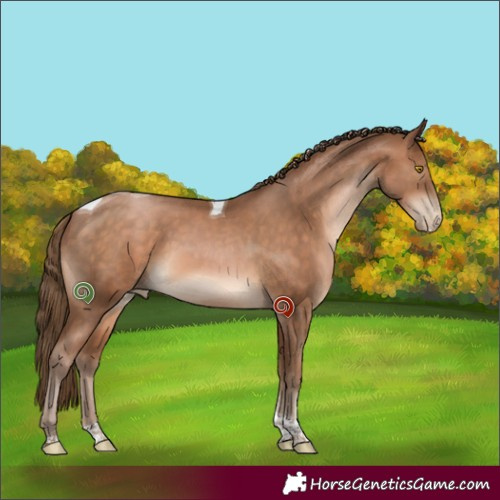 Horse Color:Brown Pearl Sabino Tobiano 