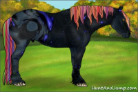 Horse Color:ERROR: UNKNOWN ANOMALY