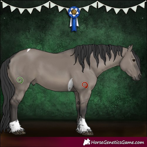 Horse Color:Grullo Tobiano 