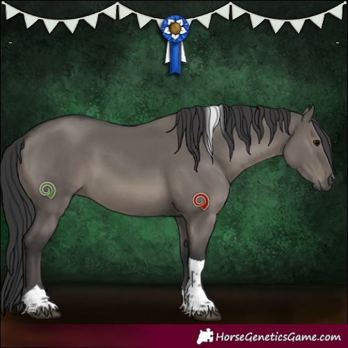 Horse Color:Grullo Tobiano 