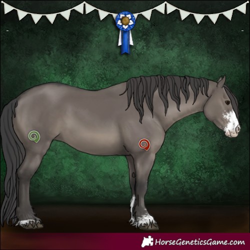 Horse Color:Grullo Sabino 