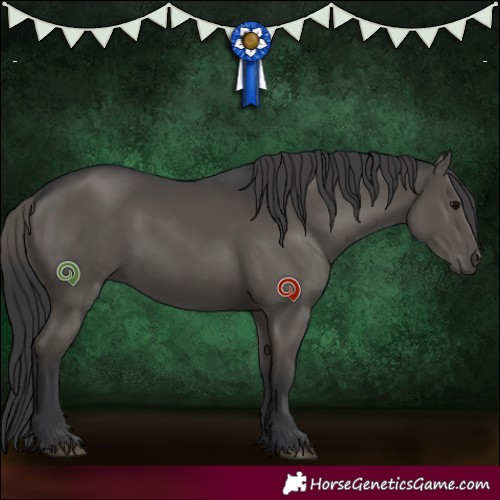 Horse Color:White Spotted Black 