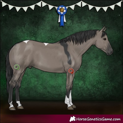 Horse Color:Grullo Tobiano 